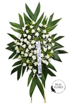 1545 Coroa luxo branco