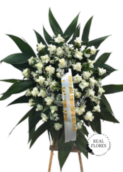 5144 Coroa eterna paz