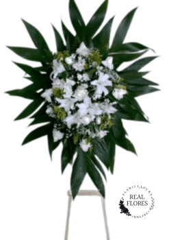 6374 homenagem com paz